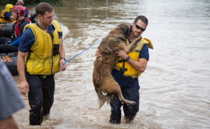 Austin Firefighters Don't Just Rescue Two-Legged Victims