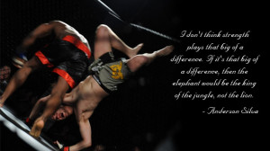 MMA Sayings http://www.thearenamma.com/great-quotes-mixed-martial-arts