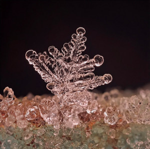 Remarkable Macro Photographs of Ice Structures and Snowflakes by ...
