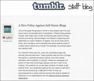 Banning pro-ana websites? Not a good idea, as Web censorship might ...