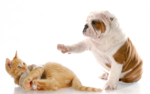 Communication Inspirations