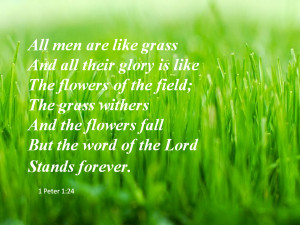 All men are like grass