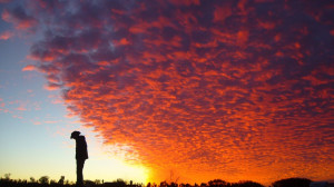 Cowboy Sunset Greg Mccown