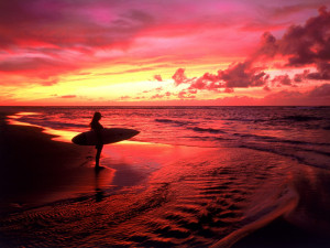hawaii surfing