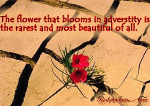 ... Quotes, Success Quotes, Inspirational Quotes, Motivational Pictures