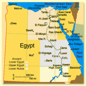 Re: EGYPT - New case of bird flu [in birds] detected in rural area