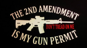 2nd-Amendement-rights-americanvikings.us_1.jpg