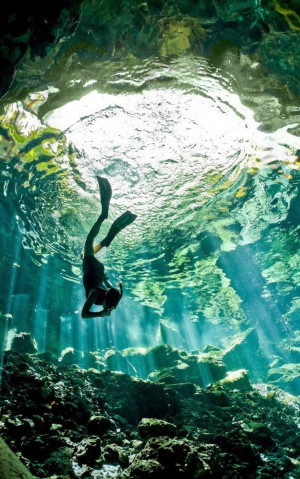 Cenote diving - Yucatn Peninsula, Mexico