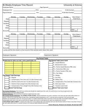 Non Exempt Employee Time Sheet
