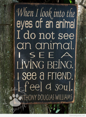 Animal wallpaper quote 2014