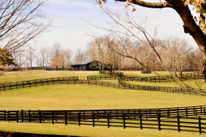 Grey or dark grey barns seem to be real popular in this area of the ...