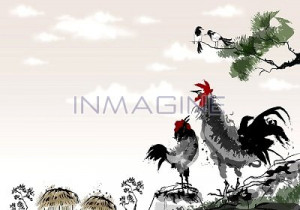 Single Image Tgs The Black And White Drawing Chicken