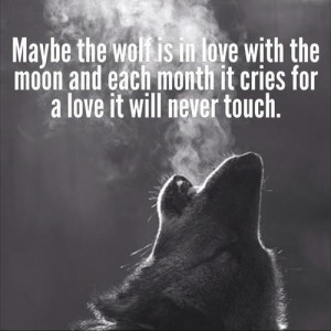 why the wolf is the loneliest one even they know its better to wait ...