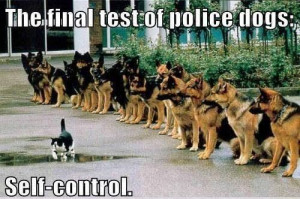 Self control