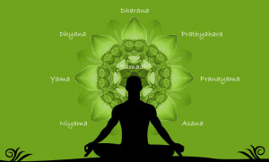 name the eight limbs of yoga author anjula duggal description yoga ...