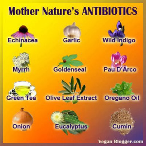 Few herbal preparations act as antibiotic and antifungal. Few of those ...