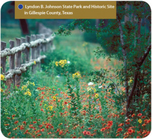 Lyndon B. Johnson State Park and Historic Site in Gillespie County ...