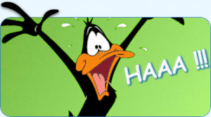 Rank: Advanced Member