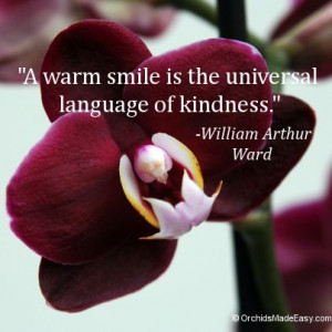 warm smile is the universal language of kindness.” -William Arthur ...