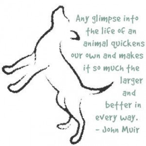 John Muir Wilderness | John Muir Quotes