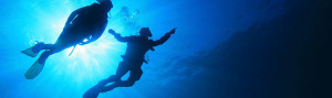 scuba diving in st lucia