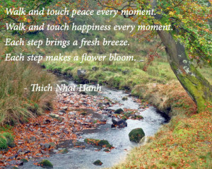 walk and touch peace every moment walk and touch happiness every ...