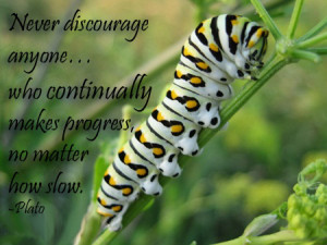 Islamic Quotes In Urdu Wallpapers