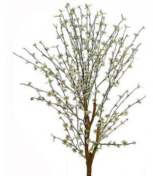 Description Select Planters...