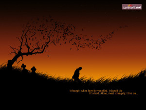 Quotes Wallpapers Lovesove Never Fall Love Always Wallpaper