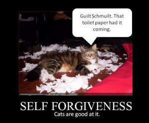 Self forgiveness: Cats are GOOD at it!
