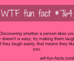 Fun Facts Quotes Brainyquote Famous Quotes On The App Store On