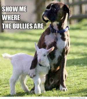 show-me-where-the-bullies-are