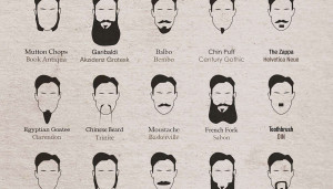 funny typographic beard guide by stacey kole funny typography aug 1 ...