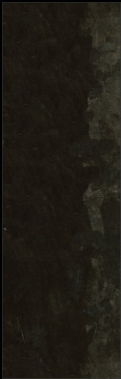 Rick Vitiello, Illinois