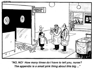 The appendix is a small pink thing ...