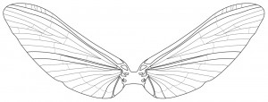 Dragonfly Wings Pattern