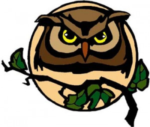 Wise Owl (Woodland Indian Myth) Illustration