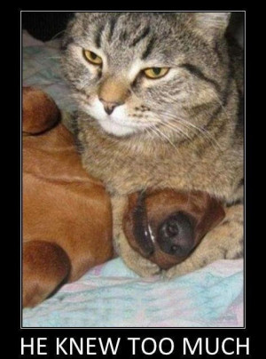 If you enjoyed this, check out our Best Funny LOLcat Gallery