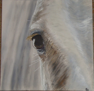 Horse Eye - painted by me