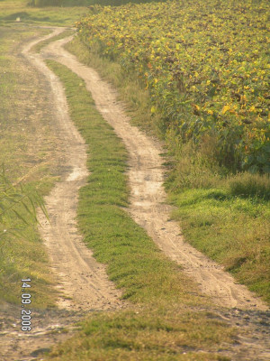 Free Quotes Pics on: Old Dirt Road