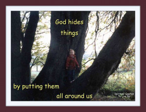 child hidding in tree with quote