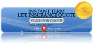 term life insurance fundamentals why do i need term life insurance ...