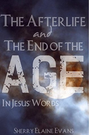The Afterlife and The End of the Age: In Jesus' Words: (14 Days Bible ...