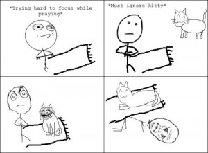 memes were found online, on Facebook, etc.--they are not my own]