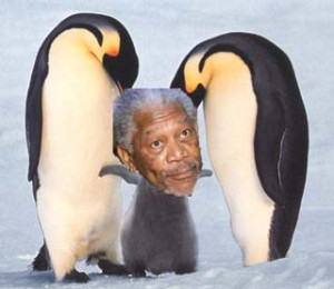 this world. But there aren't any where it's harder to live.