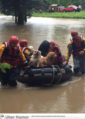 Dogs being rescued from a flooded kennel in Ohio