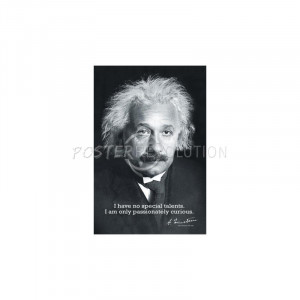 Albert Einstein Curiosity Quote Poster - 24x36