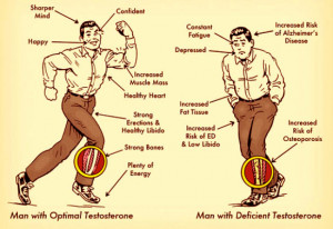 The benefits of optimal testosterone. Image credit: artofmanliness.com ...