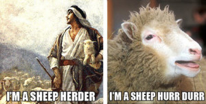 The sheep herder…