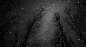 ... stars dark nature forest amazing universe scenery animated gif star